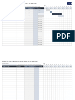 IC Project Timeline