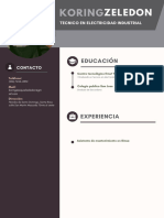 Curriculum CV Marketing Profesional Gris Oscuro