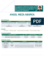 CV Angelofi