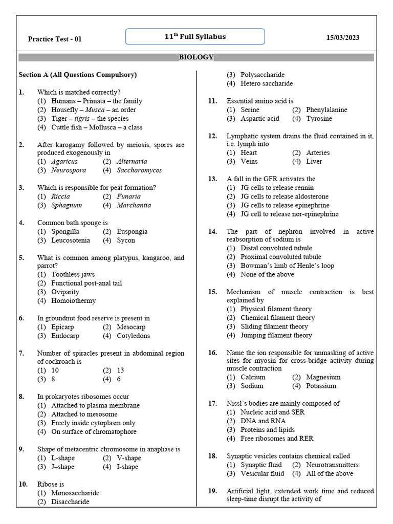 Test-01 - 11th Full Syllabus | PDF | Muscle Contraction | Enzyme