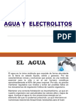 Tema 4 Metabolismo Del Agua y Electrolitos Dr Torrico 2024