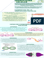 Infografía Biología Tipos de células Ilustrativa Verde (2) (1)