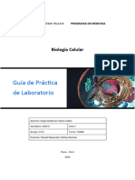 GUÍS_PRÁCTICA_LAB._SEM_08._MITOCONDRIA_y_RESPIRACION_CELULAR__als (1)