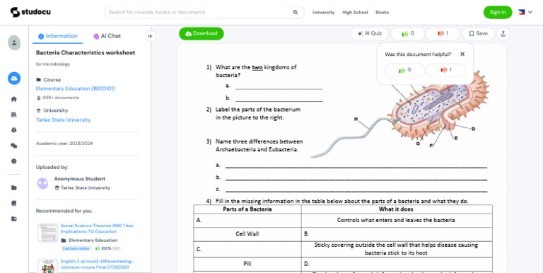 Bacteria Characteristics worksheet - What are the two kingdoms of ...
