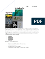 Kingdom Protista Profile