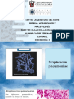 Streptococcus Pneumoniae