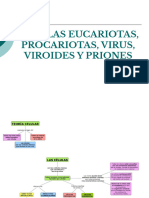 CLASE 3, cel eucariota_procariota (1)