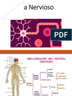 Sistema Nervioso 2022 Parte 2