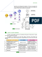 Dossier CCNN 3r ESPA 074