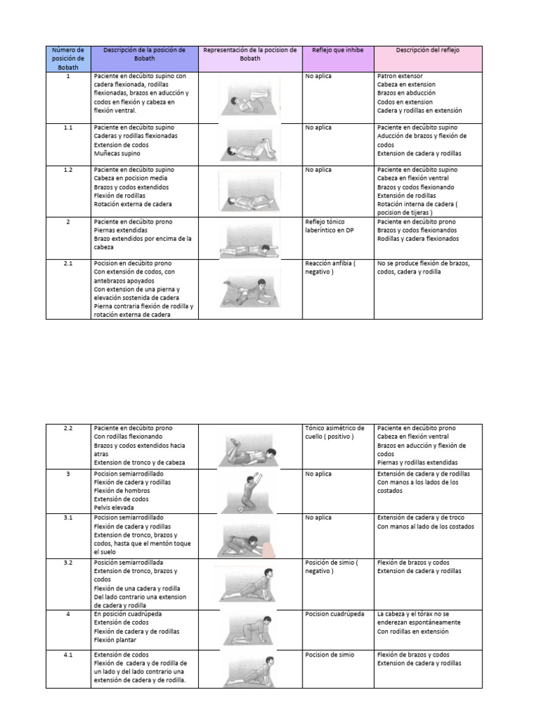 bobath-descargar-gratis-pdf-rodilla-anatom-a-del-miembro-inferior