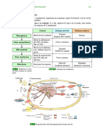 Dossier CCNN 3r ESPA 093