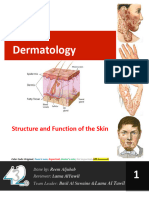 1 - Anatomy of The Skin