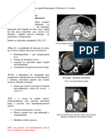 Abdome Agudo Hemorrágico, Perfurativo e Vascular