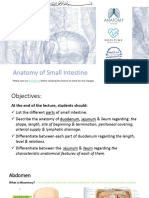 5- Anatomy of Small Intestines