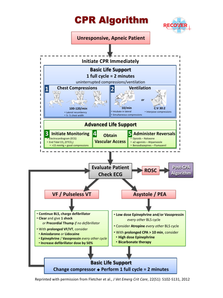 Recover CPR Algorithm | PDF