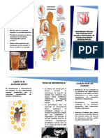 Triptico de Toxico PDF