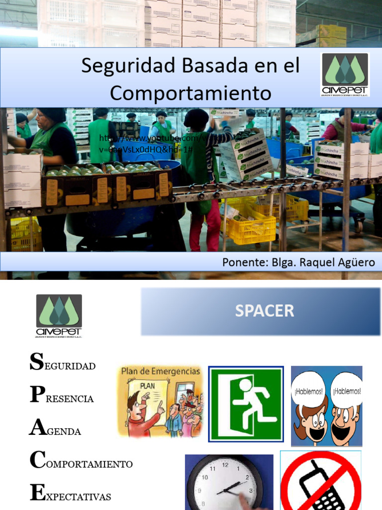 Seguridad Basada en el Comportamiento | PDF | Comportamiento | Riesgo