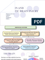 The Brain and Traumatic Brain Injury (Gabi)