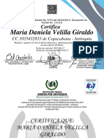 Cursos Complementarios