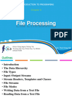 NMLT.C6.  File Procesing