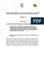 Informe Avance N.5 Agosto