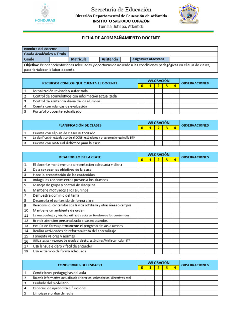 Ficha de Acompañamiento Docente 2024 | PDF | Maestros | Evaluación