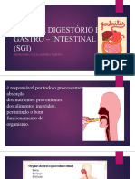 Sistema Digestório e Gastro - Intestinal (Sgi