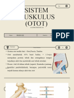 Sistem Muskulus