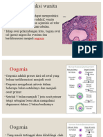 SISTEM REPRODUKSI WANITA