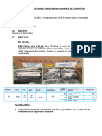 Informe Preforma - Almacen Del Medio