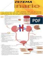 infografia 