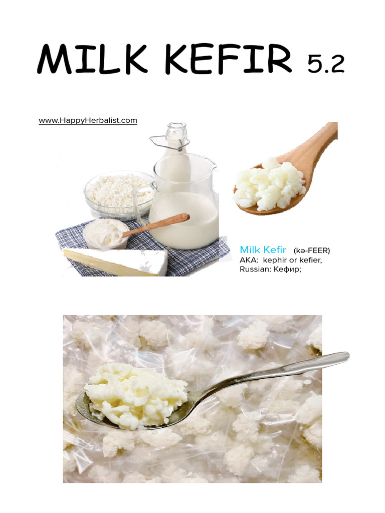 Milk Kefir Happyherbalist | PDF | Fermentation In Food Processing | Yogurt