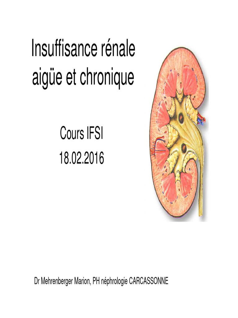 Insuffisance rénale : définitions et traitements | PDF | Hémodialyse ...