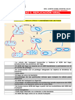 Actividad 5. Replicación Viral