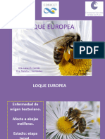 Clase Loque Europea-sanidad Apicola 2020