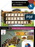 Clase 3. Teoria - Origen y Distribución de Apis Mellifera SANIDAD APICOLA 2022