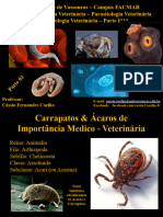 (03) Acarologia VeterinÃ¡ria Parte I