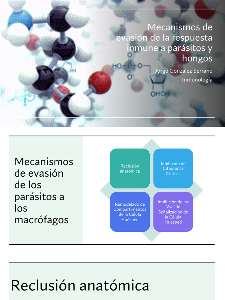 mecanismos-de-evasi-n-de-la-respuesta-inmune-a-par-sitos-y-hongos-pdf