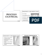 Processo cicatricial