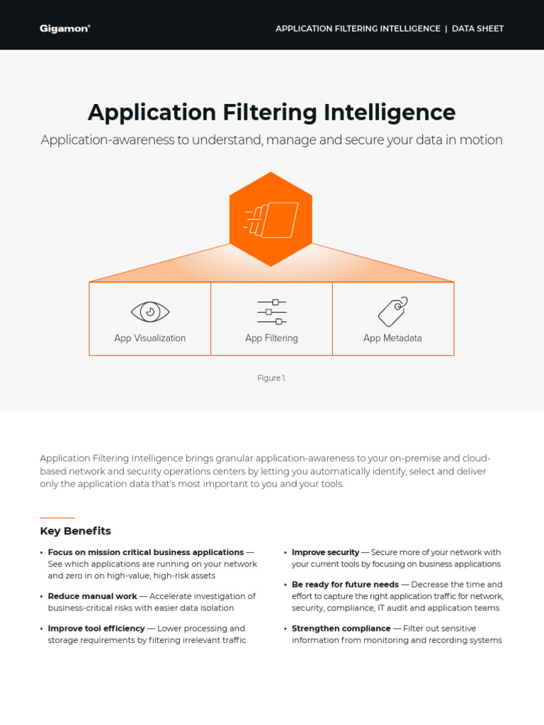 Ds Application Filtering Intelligence | PDF | Cloud Computing ...