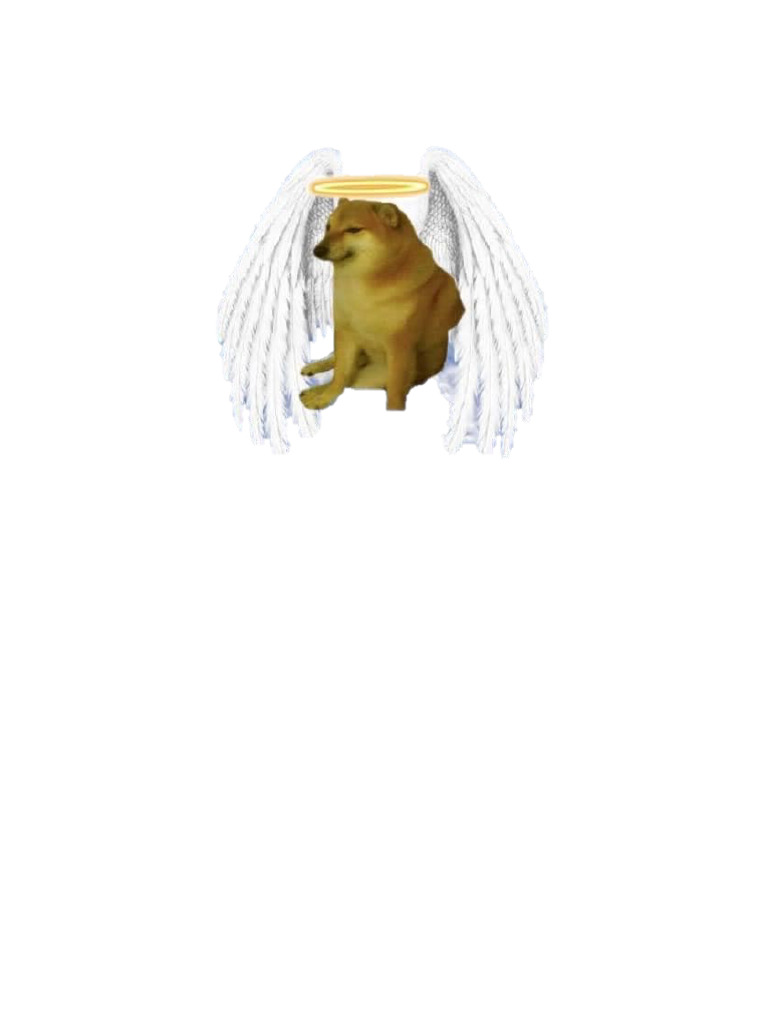 Rip Cheems | PDF