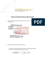 EXAMEN-ESMALTADO-SEMIPERMANENTE - Rendido