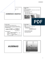 Auxinas: Hormônios Vegetais