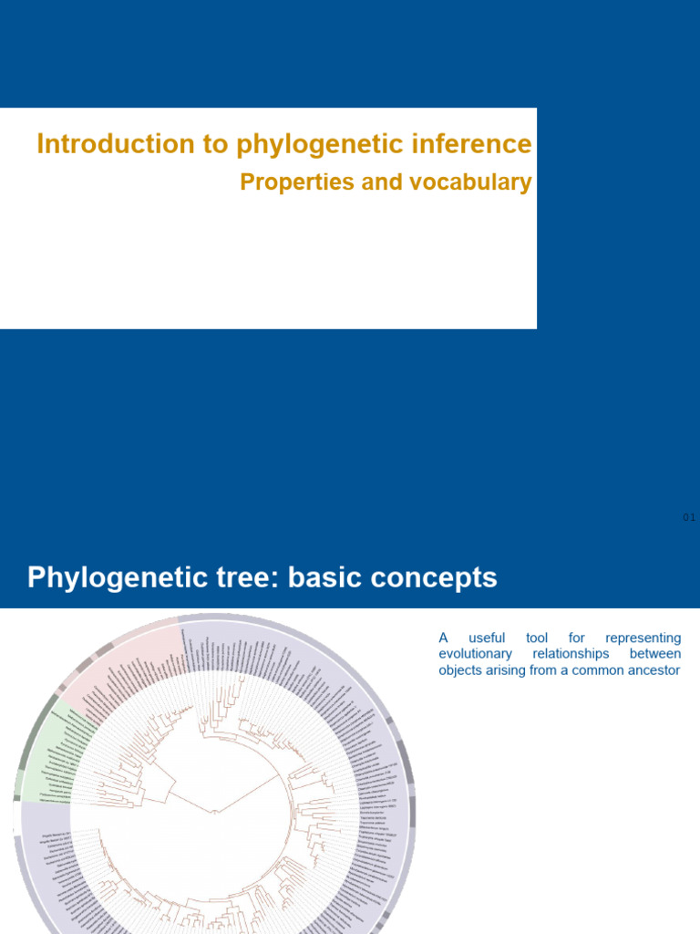 Phylogenetic Tree Inference Basics | PDF | Phylogenetic Tree | Vertex ...
