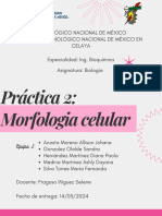 Practica 2. Morfología Celular