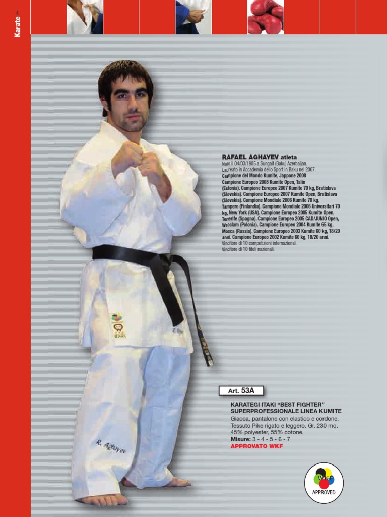 Karate | PDF