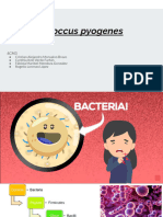 Streptococcus Pyogenes