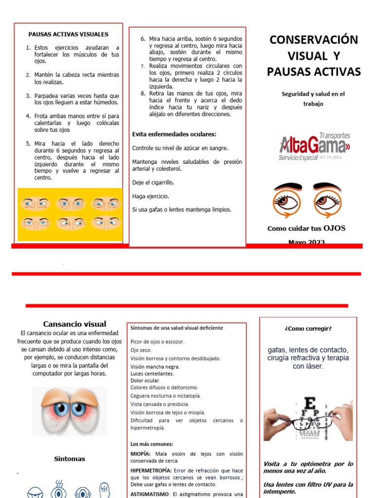 Cuidado y conservación de la vista | PDF | Ojo humano | Lentes