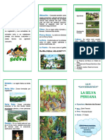 PDF Triptico La Selva Peruana - Compress