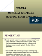 Cedera Medulla Spinalis (Spinal Cord Injury)